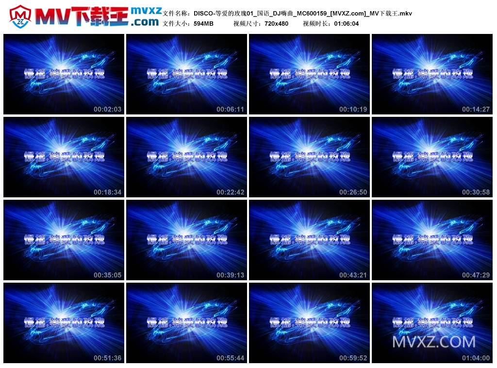 DISCO-等爱的玫瑰01_国语_DJ嗨曲_MC600159